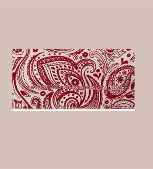 English Paisley Bandana 22x22